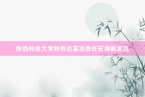 陕西科技大学财务处某项责任获得新发达