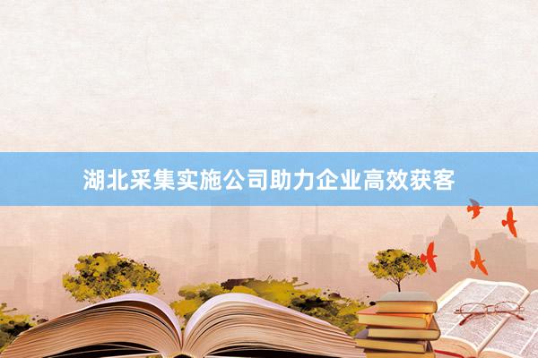 湖北采集实施公司助力企业高效获客
