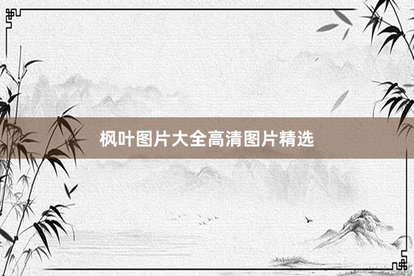 枫叶图片大全高清图片精选